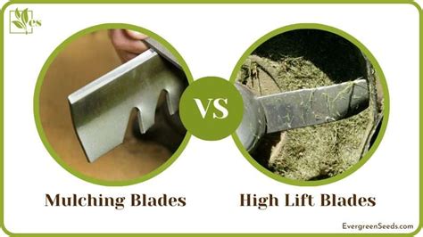 high lift blades for mulching